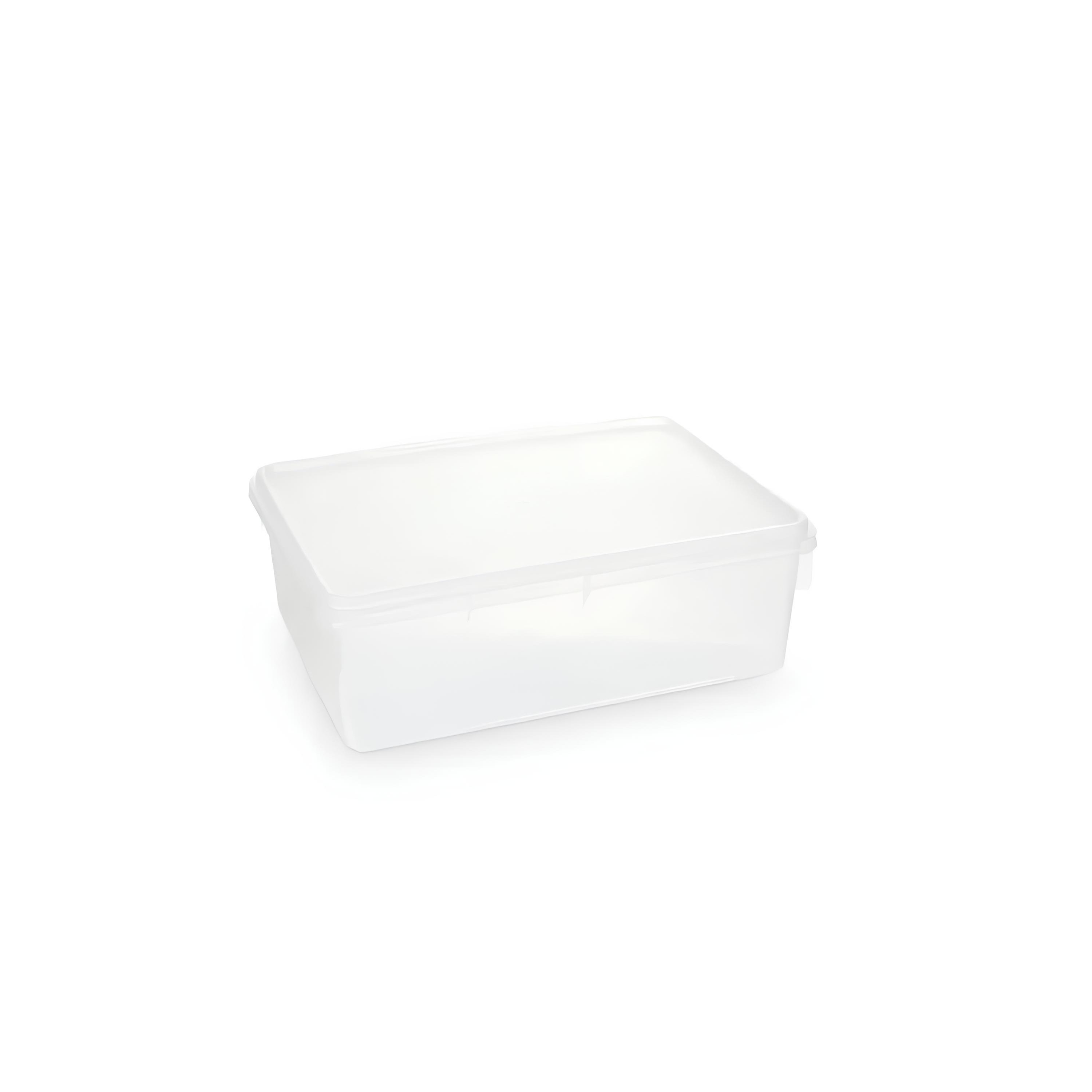CAIXA ARMAZENAGEM PLÁSTICA TAMPA 26X18CM 3,5L     