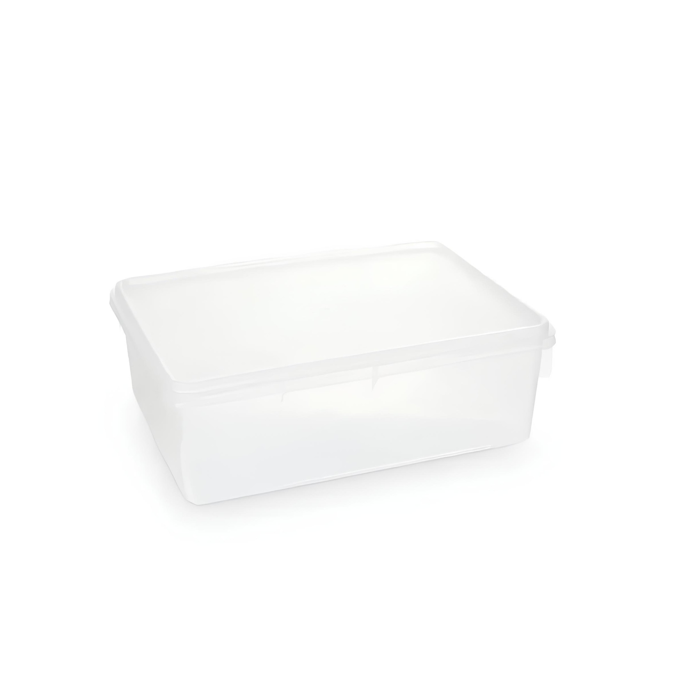 CAIXA ARMAZENAGEM PLÁSTICA TAMPA 34X23CM 6,5L     