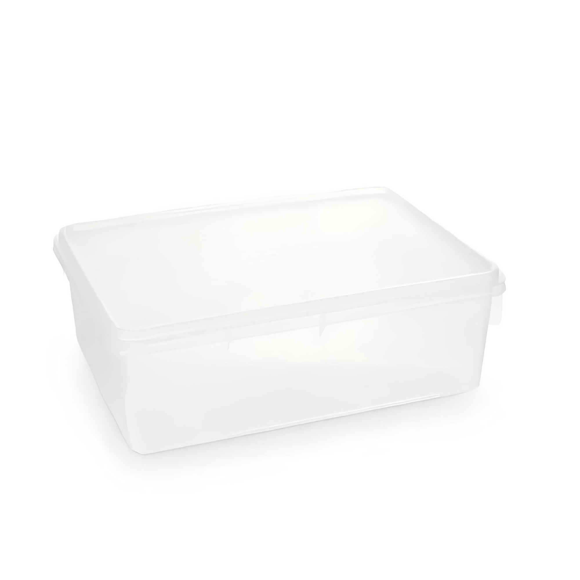 CAIXA ARMAZENAGEM PLÁSTICA TAMPA 39X28CM 11L     