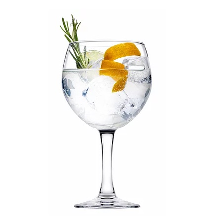 TAÇA GIN VIDRO 569ML 19CM MODA     