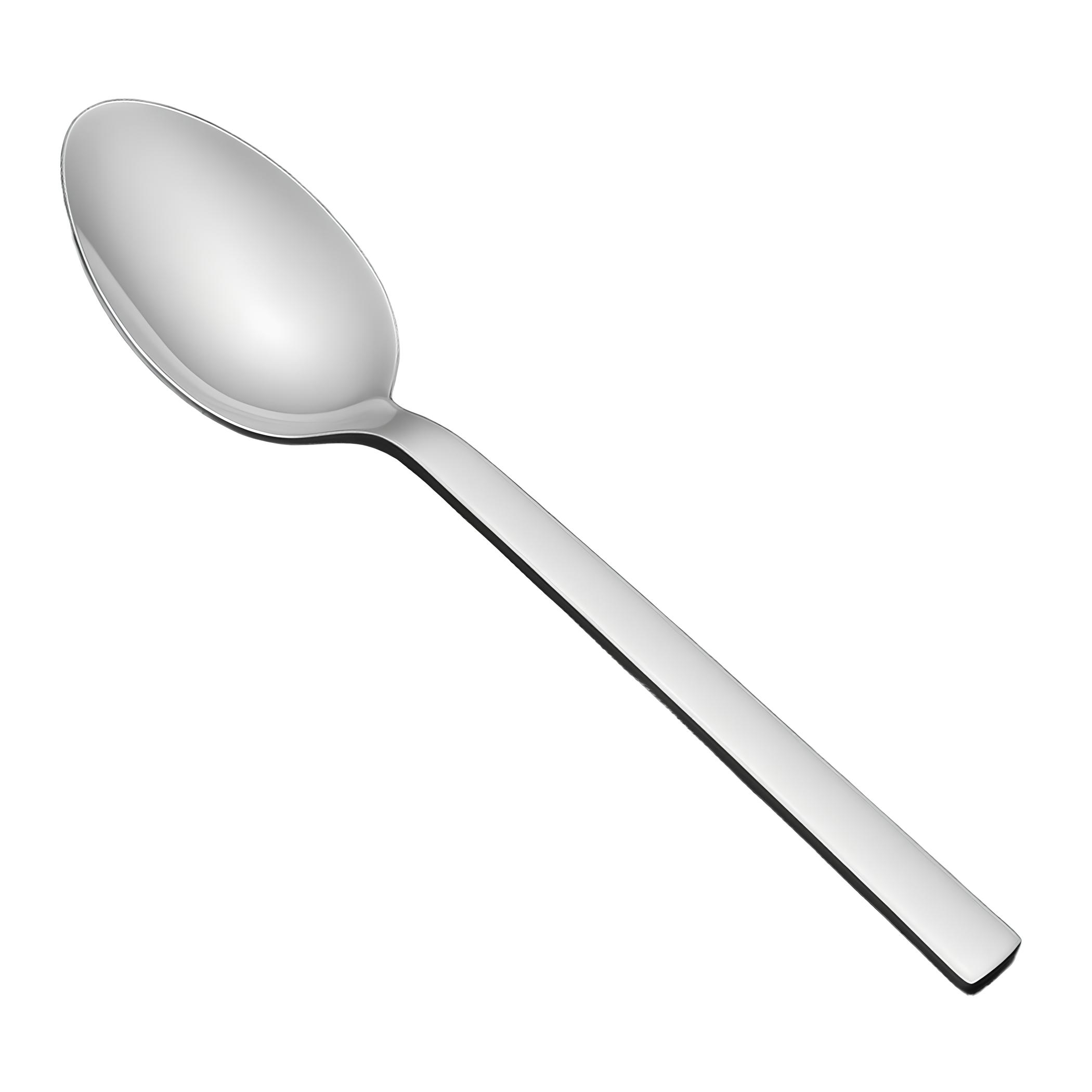 COLHER DE MESA INOX LINEA 21 CM    
