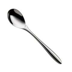 COLHER MESA INOX 22CM AVES HEPP     