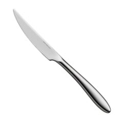 FACA STEAK INOX 24,5CM AVES HEPP     