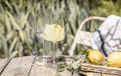TAÇA VINHO BRANCO CRYSTAL GLASS 535ML 23,5CM SENSES   